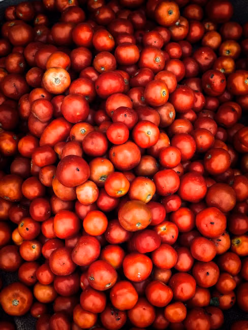 Cesta de Frutas Selecionadas
